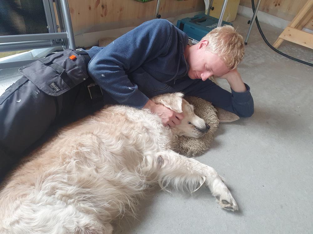 Kos med Vincent