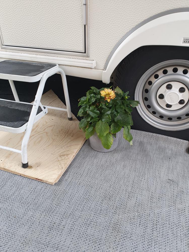 Plantene er også på ferie