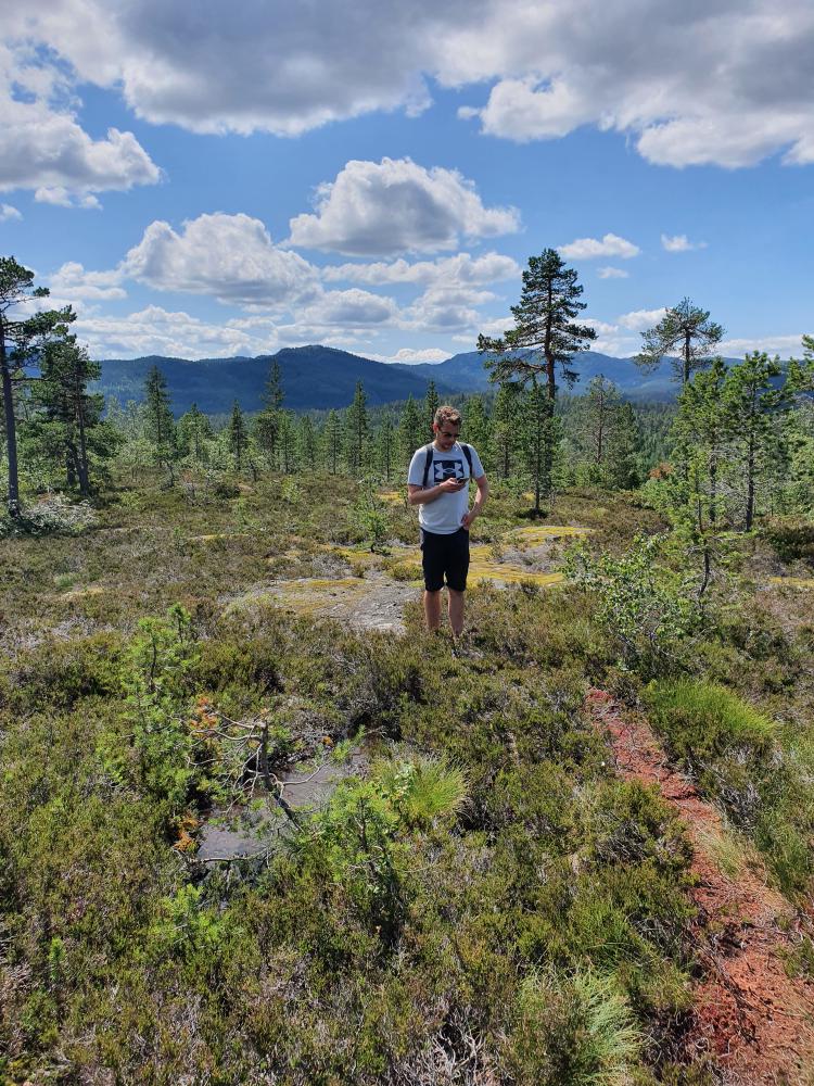 Navigering på tur