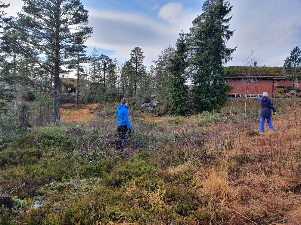 Flytt den grene også