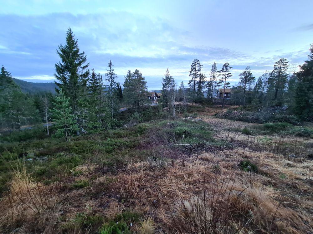 En nesten ferdigryddet tomt